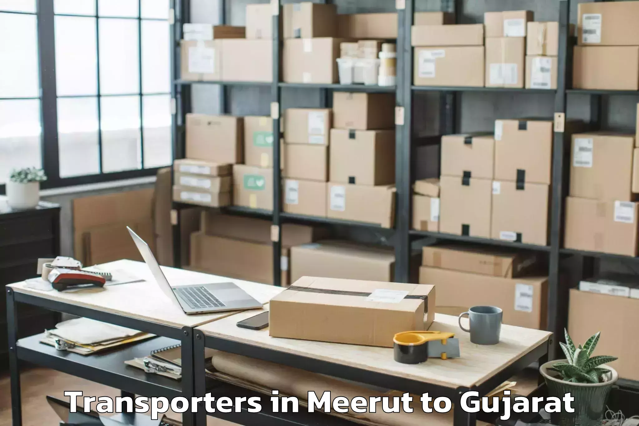 Get Meerut to Jhagadia Transporters